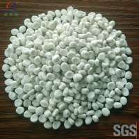 White Filler MB Raw Material for Plastic Packing Bag